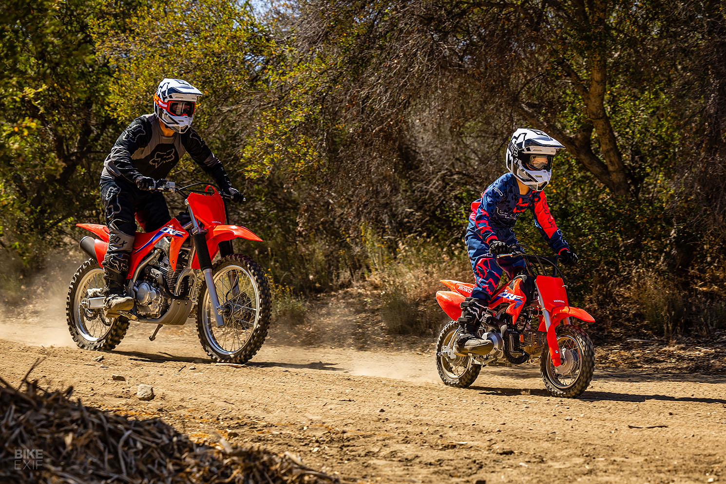 Mini Bikes: Fun for All Activity Levels